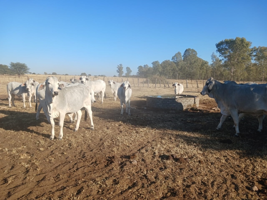  Bedroom Property for Sale in Vryburg Rural North West